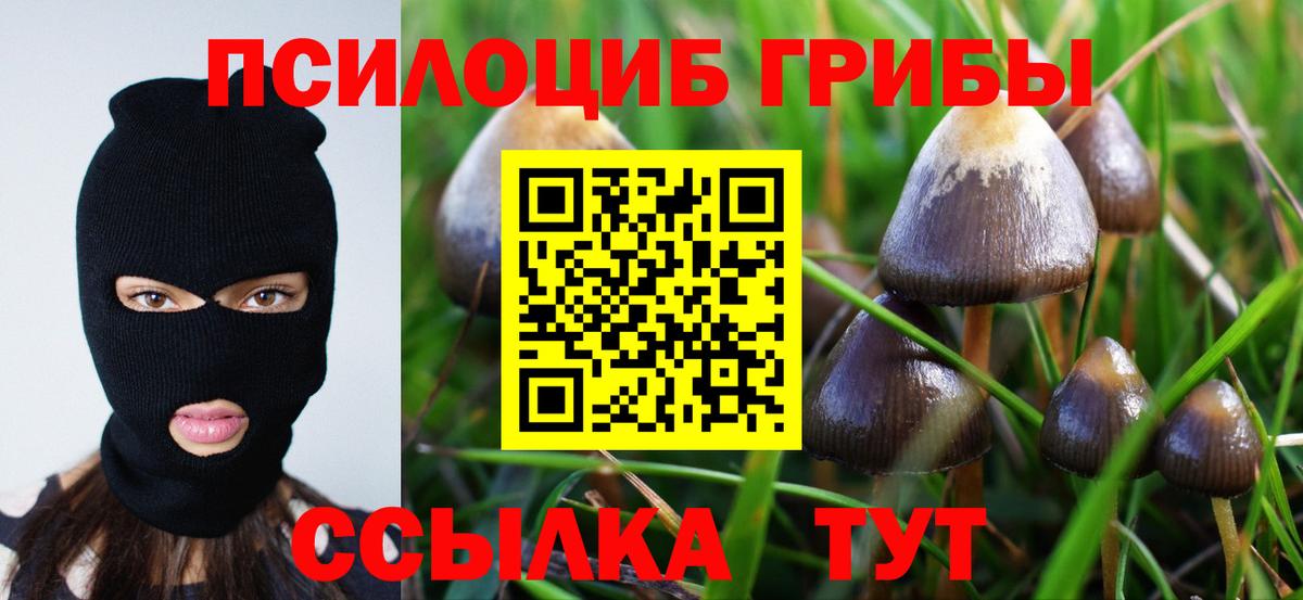 Карабулак  Псилоцибиновые грибы мухоморы  Вход с VPN 